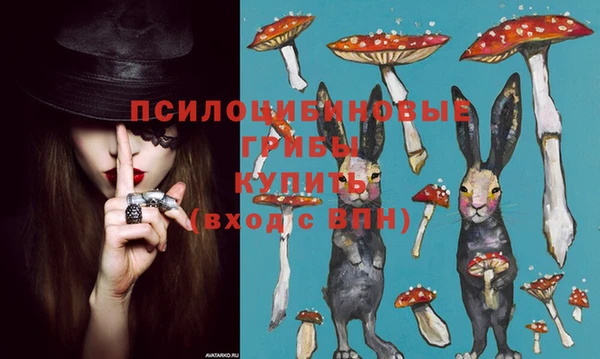 герыч Няндома