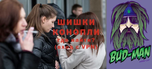 мдпв Осинники